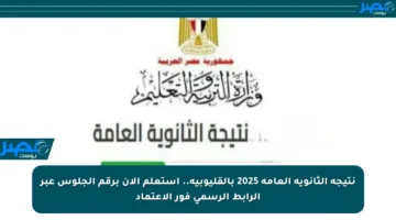 نتيجة الثانوية العامة 2025 بالقليوبية.. استعلم الآن برقم الجلوس عبر الرابط الرسمي فور الاعتماد